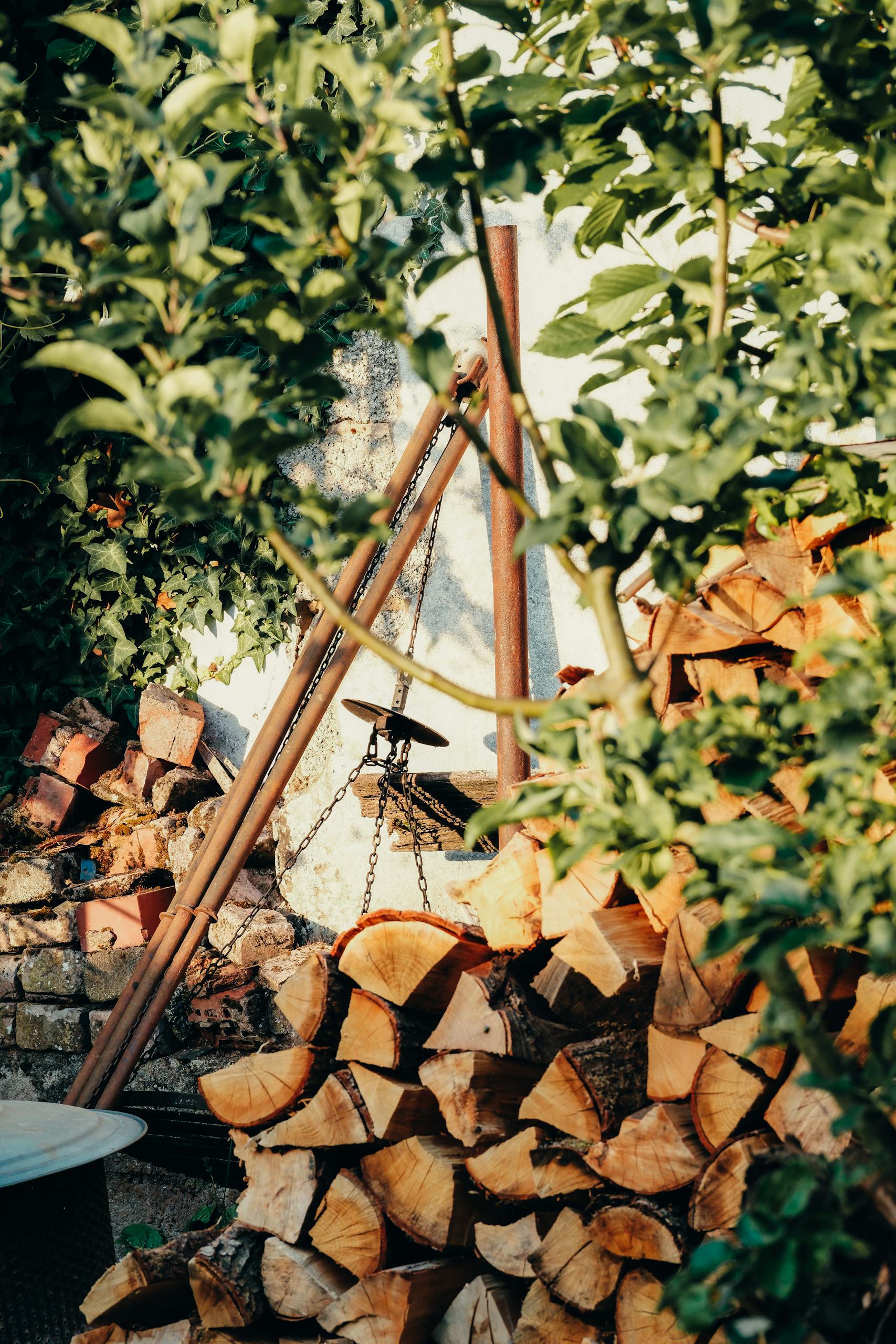 Rustic outdoor garden scene with stacked firewood and lush greenery in Almanya, ideal for natural living themes.